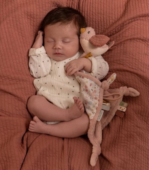 Little Dutch knuffeldoekje roze (met naam)