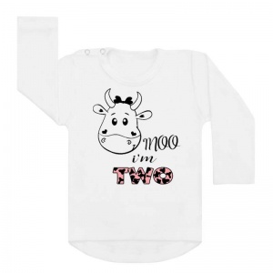 Verjaardagsshirt tweede verjaardag. Moo i'm two. Ook als strijkapplicatie beschikbaar. De leukste strijkapplicaties en shirts voor verjaardagen! Maak een gaaf verjaardagsshirt met een afbeelding of een tekst met onze strijkapplicaties. Natuurlijk kan je de strijkapplicaties ook op een tas of op hout drukken.