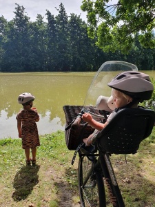 Mamablog Veilig fietsen met kinderen. Voorkomen dat ik val met de fiets kan ik niet, voorkomen dat mijn dochters er ernstige blijvende schade aan overhouden wel. Lees hier mijn overwegingen!